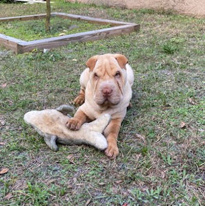 Meet your Posher, Christian